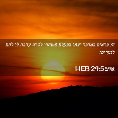 Picture 02 - איוב 24:5 HEB - הן פראים במדבר יצאו בפעלם - Bible Verse Picture