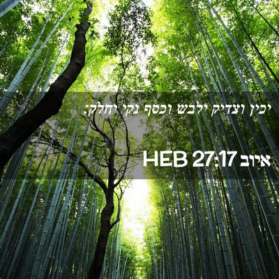 Picture 02 - איוב 27:17 HEB - יכין וצדיק ילבש וכסף נקי - Bible Verse Picture