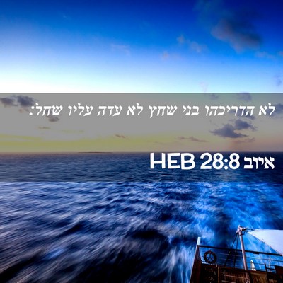 Picture 02 - איוב 28:8 HEB - לא הדריכהו בני שחץ לא עדה - Bible Verse Picture