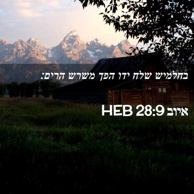 Picture 02 - איוב 28:9 HEB - בחלמיש שלח ידו הפך משרש - Bible Verse Picture
