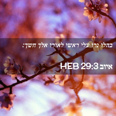 Picture 02 - איוב 29:3 HEB - בהלו נרו עלי ראשי לאורו אלך - Bible Verse Picture