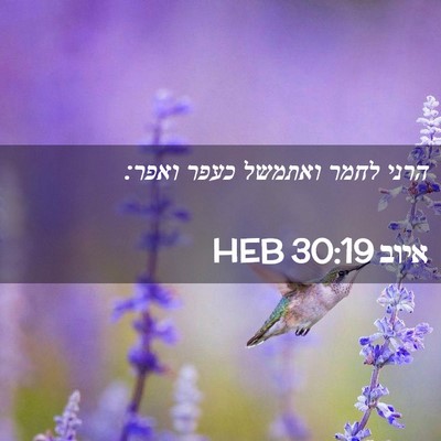 Picture 02 - איוב 30:19 HEB - הרני לחמר ואתמשל כעפר - Bible Verse Picture