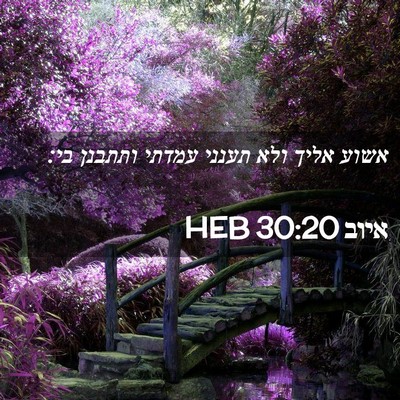 Picture 02 - איוב 30:20 HEB - אשוע אליך ולא תענני עמדתי - Bible Verse Picture
