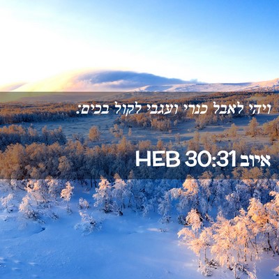 Picture 02 - איוב 30:31 HEB - ויהי לאבל כנרי ועגבי לקול - Bible Verse Picture
