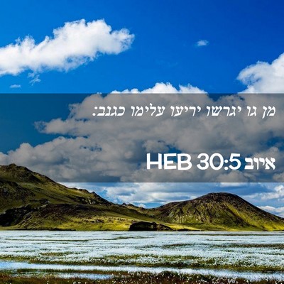 Picture 02 - איוב 30:5 HEB - מן גו יגרשו יריעו עלימו - Bible Verse Picture