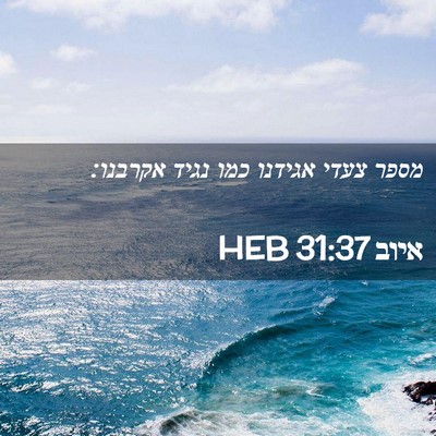 Picture 02 - איוב 31:37 HEB - מספר צעדי אגידנו כמו נגיד - Bible Verse Picture