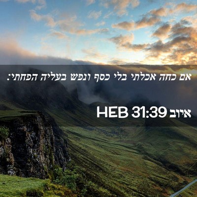 Picture 02 - איוב 31:39 HEB - אם כחה אכלתי בלי כסף ונפש - Bible Verse Picture