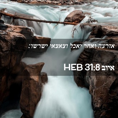 Picture 02 - איוב 31:8 HEB - אזרעה ואחר יאכל וצאצאי - Bible Verse Picture