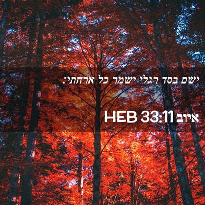 Picture 02 - איוב 33:11 HEB - ישם בסד רגלי ישמר כל - Bible Verse Picture
