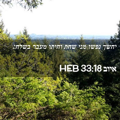 Picture 02 - איוב 33:18 HEB - יחשך נפשו מני שחת וחיתו - Bible Verse Picture