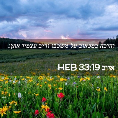 Picture 02 - איוב 33:19 HEB - והוכח במכאוב על משכבו וריב - Bible Verse Picture