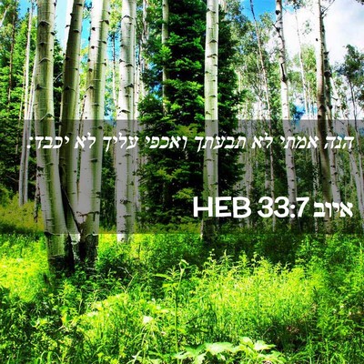 Picture 02 - איוב 33:7 HEB - הנה אמתי לא תבעתך ואכפי - Bible Verse Picture