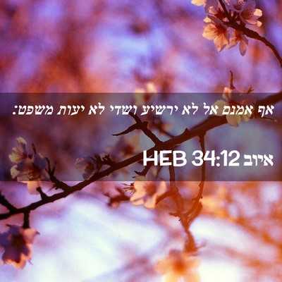 Picture 02 - איוב 34:12 HEB - אף אמנם אל לא ירשיע ושדי לא - Bible Verse Picture