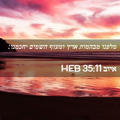 Picture 02 - איוב 35:11 HEB - מלפנו מבהמות ארץ ומעוף - Bible Verse Picture