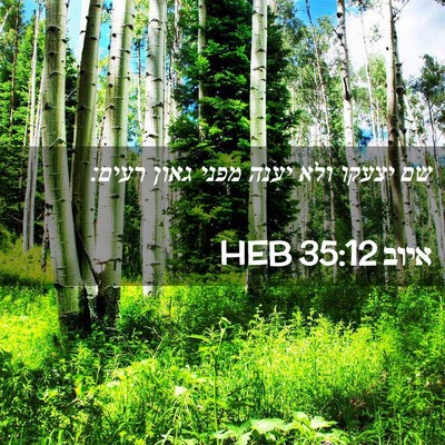 Picture 02 - איוב 35:12 HEB - שם יצעקו ולא יענה מפני גאון - Bible Verse Picture