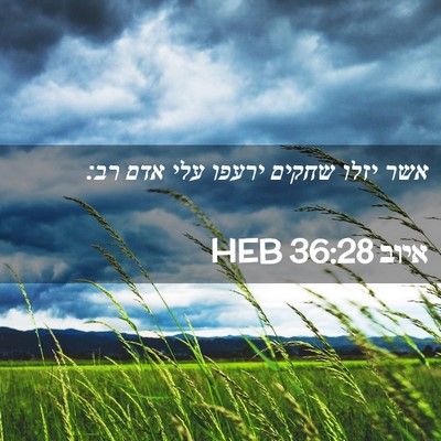 Picture 02 - איוב 36:28 HEB - אשר יזלו שחקים ירעפו עלי - Bible Verse Picture