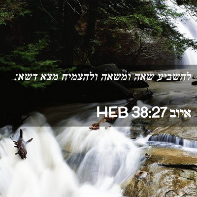Picture 02 - איוב 38:27 HEB - להשביע שאה ומשאה ולהצמיח - Bible Verse Picture