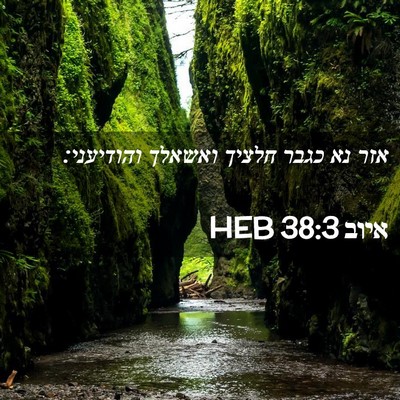 Picture 02 - איוב 38:3 HEB - אזר נא כגבר חלציך ואשאלך - Bible Verse Picture