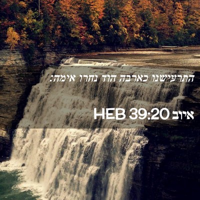 Picture 02 - איוב 39:20 HEB - התרעישנו כארבה הוד נחרו - Bible Verse Picture