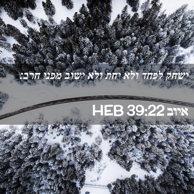 Picture 02 - איוב 39:22 HEB - ישחק לפחד ולא יחת ולא ישוב - Bible Verse Picture