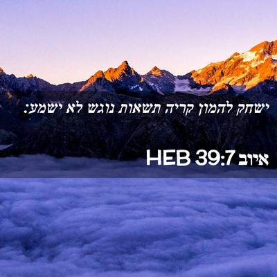 Picture 02 - איוב 39:7 HEB - ישחק להמון קריה תשאות נוגש - Bible Verse Picture