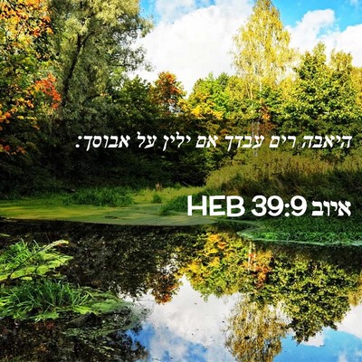 Picture 02 - איוב 39:9 HEB - היאבה רים עבדך אם ילין על - Bible Verse Picture