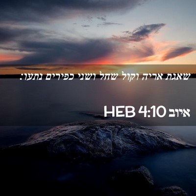 Picture 02 - איוב 4:10 HEB - שאגת אריה וקול שחל ושני - Bible Verse Picture