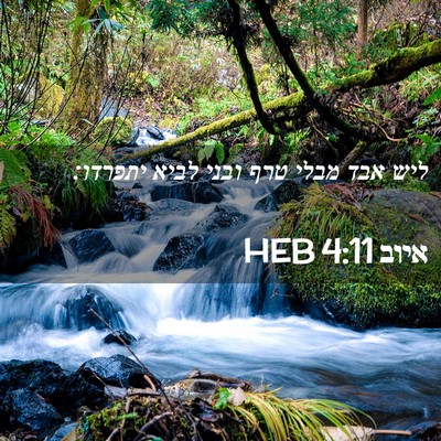 Picture 02 - איוב 4:11 HEB - ליש אבד מבלי טרף ובני לביא - Bible Verse Picture