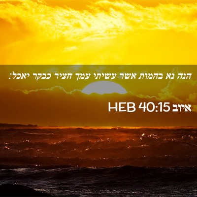 Picture 02 - איוב 40:15 HEB - הנה נא בהמות אשר עשיתי עמך - Bible Verse Picture