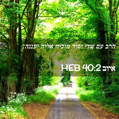 Picture 02 - איוב 40:2 HEB - הרב עם שדי יסור מוכיח אלוה - Bible Verse Picture