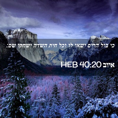 Picture 02 - איוב 40:20 HEB - כי בול הרים ישאו לו וכל חית - Bible Verse Picture