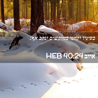 Picture 02 - איוב 40:24 HEB - בעיניו יקחנו במוקשים ינקב - Bible Verse Picture