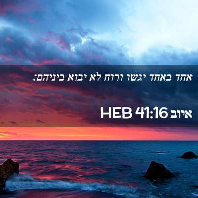 Picture 02 - איוב 41:16 HEB - אחד באחד יגשו ורוח לא יבוא - Bible Verse Picture