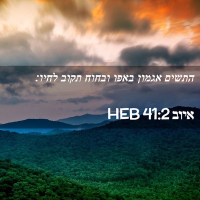 Picture 02 - איוב 41:2 HEB - התשים אגמון באפו ובחוח - Bible Verse Picture