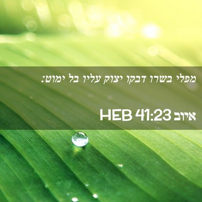 Picture 02 - איוב 41:23 HEB - מפלי בשרו דבקו יצוק עליו בל - Bible Verse Picture
