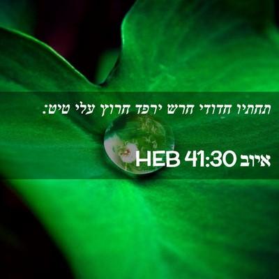 Picture 02 - איוב 41:30 HEB - תחתיו חדודי חרש ירפד חרוץ - Bible Verse Picture