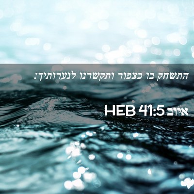 Picture 02 - איוב 41:5 HEB - התשחק בו כצפור ותקשרנו - Bible Verse Picture