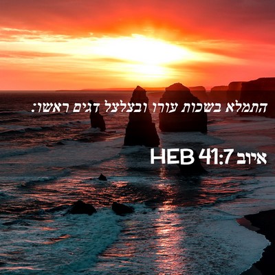 Picture 02 - איוב 41:7 HEB - התמלא בשכות עורו ובצלצל - Bible Verse Picture