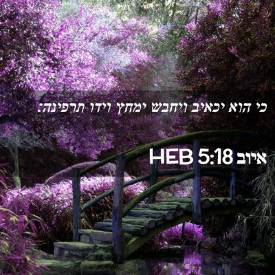 Picture 02 - איוב 5:18 HEB - כי הוא יכאיב ויחבש ימחץ - Bible Verse Picture