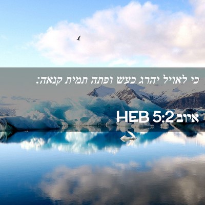 Picture 02 - איוב 5:2 HEB - כי לאויל יהרג כעש ופתה תמית - Bible Verse Picture