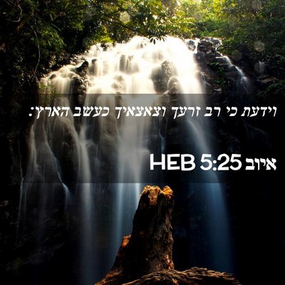 Picture 02 - איוב 5:25 HEB - וידעת כי רב זרעך וצאצאיך - Bible Verse Picture