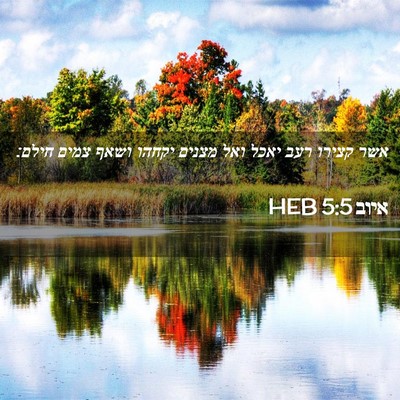 Picture 02 - איוב 5:5 HEB - אשר קצירו רעב יאכל ואל - Bible Verse Picture