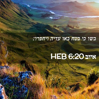 Picture 02 - איוב 6:20 HEB - בשו כי בטח באו עדיה - Bible Verse Picture