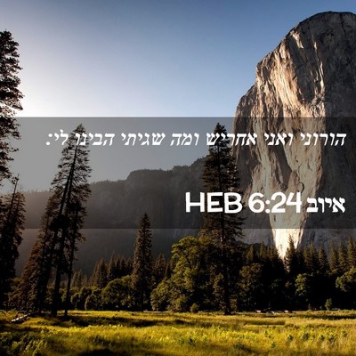 Picture 02 - איוב 6:24 HEB - הורוני ואני אחריש ומה - Bible Verse Picture