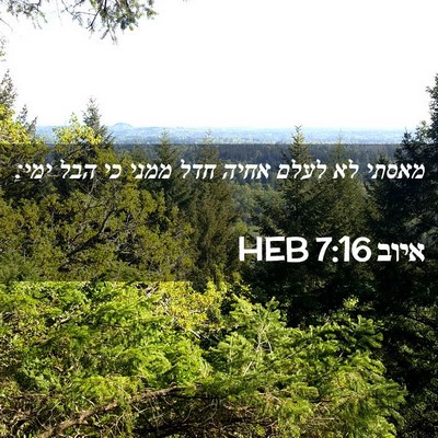 Picture 02 - איוב 7:16 HEB - מאסתי לא לעלם אחיה חדל ממני - Bible Verse Picture
