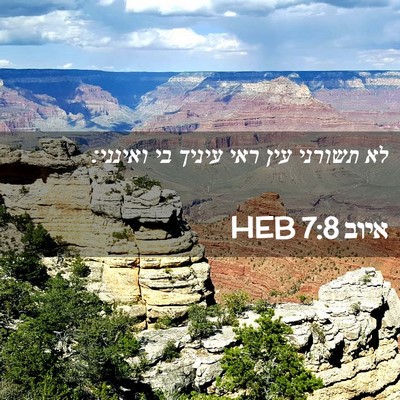 Picture 02 - איוב 7:8 HEB - לא תשורני עין ראי עיניך בי - Bible Verse Picture