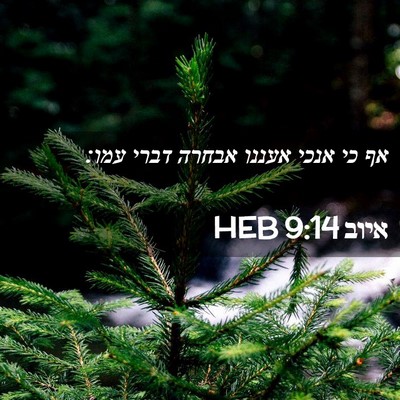 Picture 02 - איוב 9:14 HEB - אף כי אנכי אעננו אבחרה דברי - Bible Verse Picture