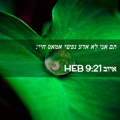 Picture 02 - איוב 9:21 HEB - תם אני לא אדע נפשי אמאס - Bible Verse Picture