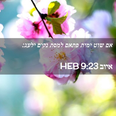 Picture 02 - איוב 9:23 HEB - אם שוט ימית פתאם למסת נקים - Bible Verse Picture