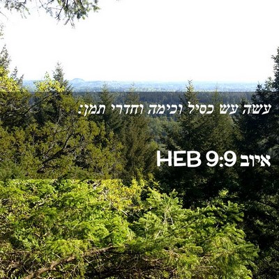 Picture 02 - איוב 9:9 HEB - עשה עש כסיל וכימה וחדרי - Bible Verse Picture